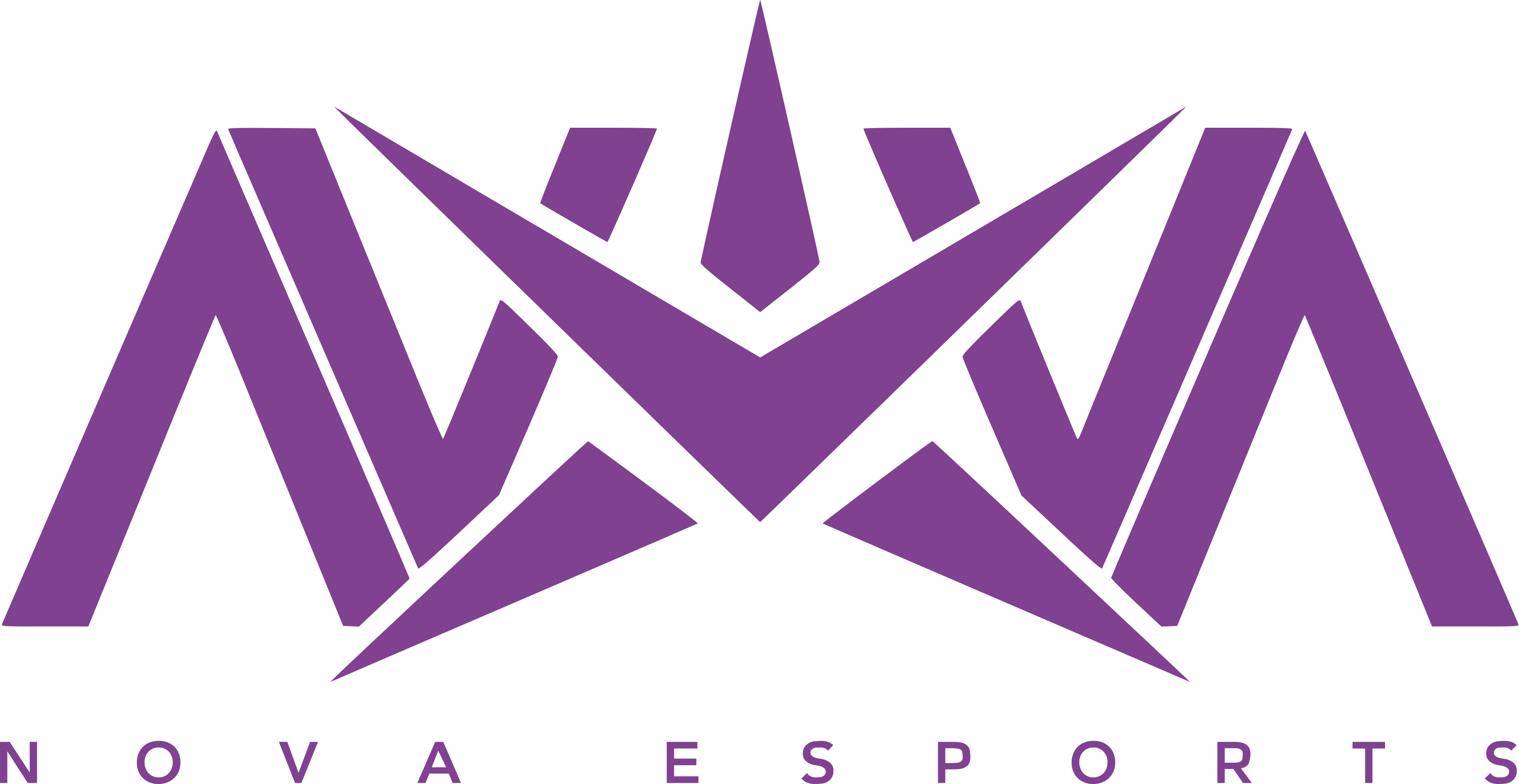 Nova Esport NOVA officially establishes a Wild Rift division